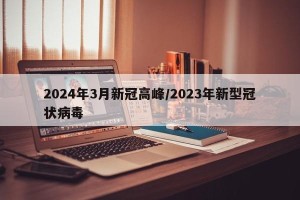 2024年3月新冠高峰/2023年新型冠状病毒