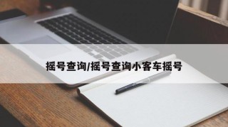 摇号查询/摇号查询小客车摇号